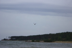 IMG 6835