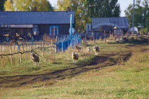 IMG 7000