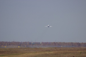 IMG 7922