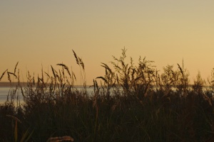 IMG 9890