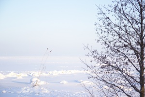 IMG 4081