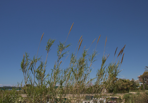 IMG 7856