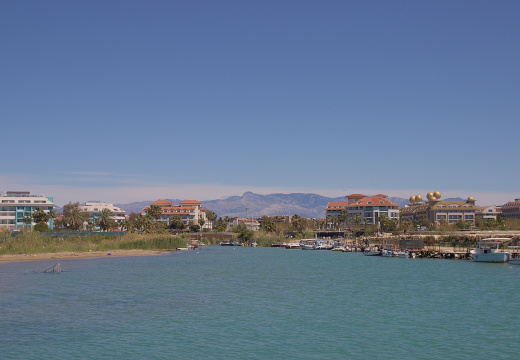 IMG 7855